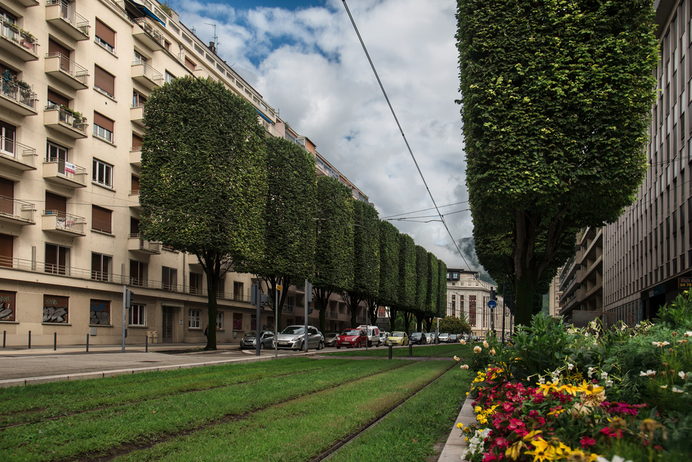 Localisation de la distribution à Grenoble